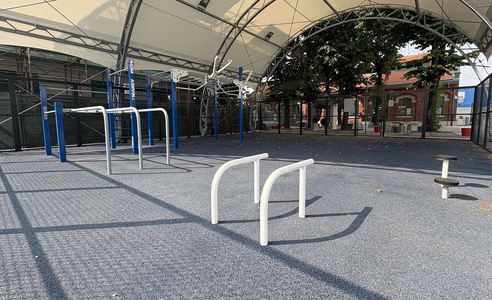 Calisthenics