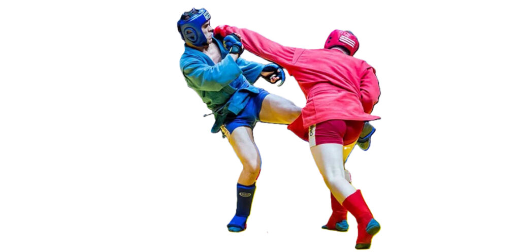 Sambo combat